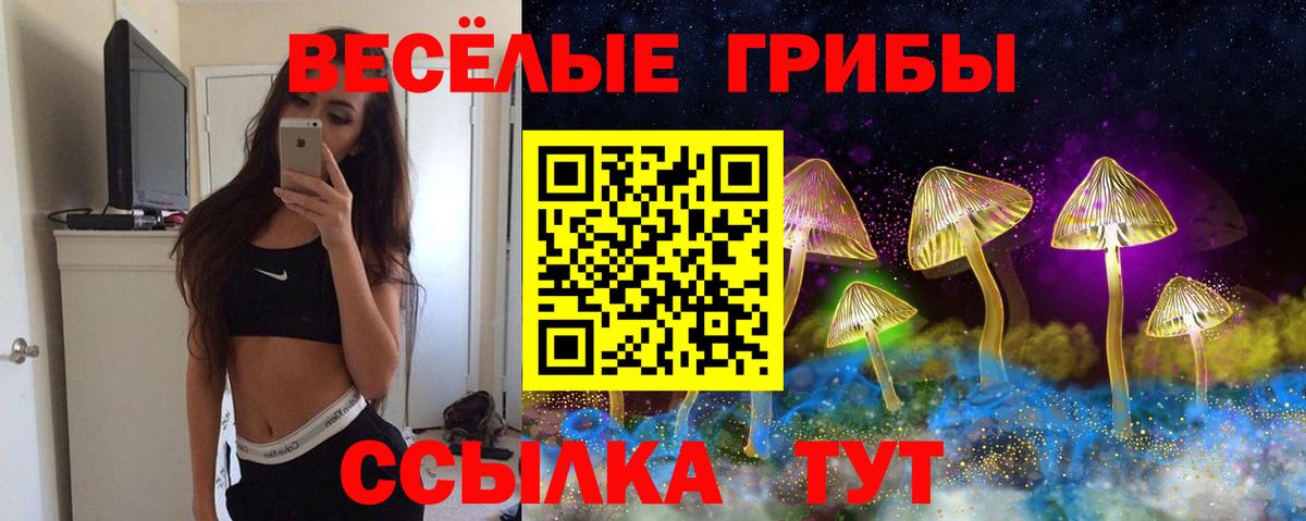 Галлюциногенные грибы GOLDEN TEACHER Липецк